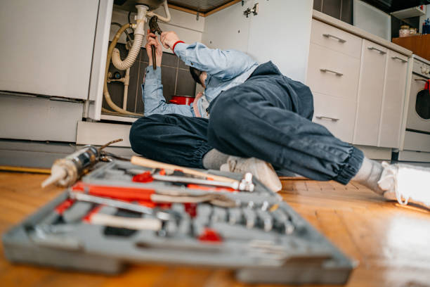 Best Clogged Drain Plumber  in Delphi, IN