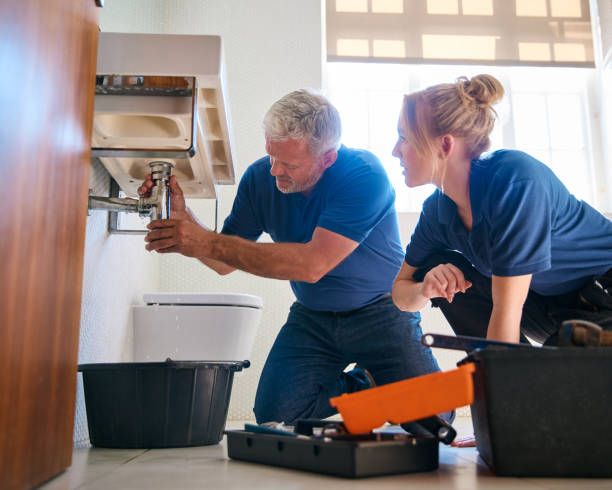 Best Local Plumber Services  in Delphi, IN