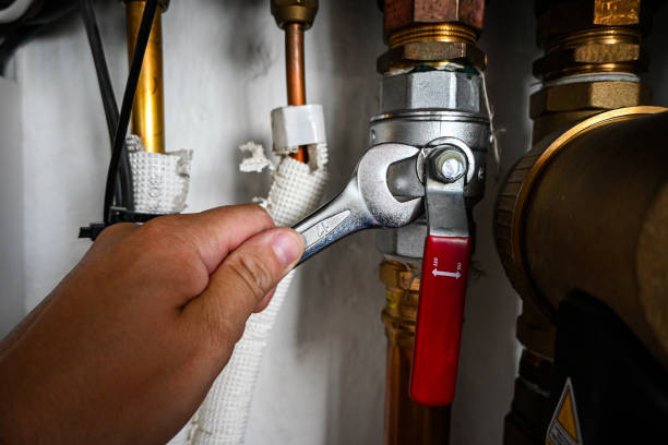Best Affordable Plumbing Services  in Delphi, IN